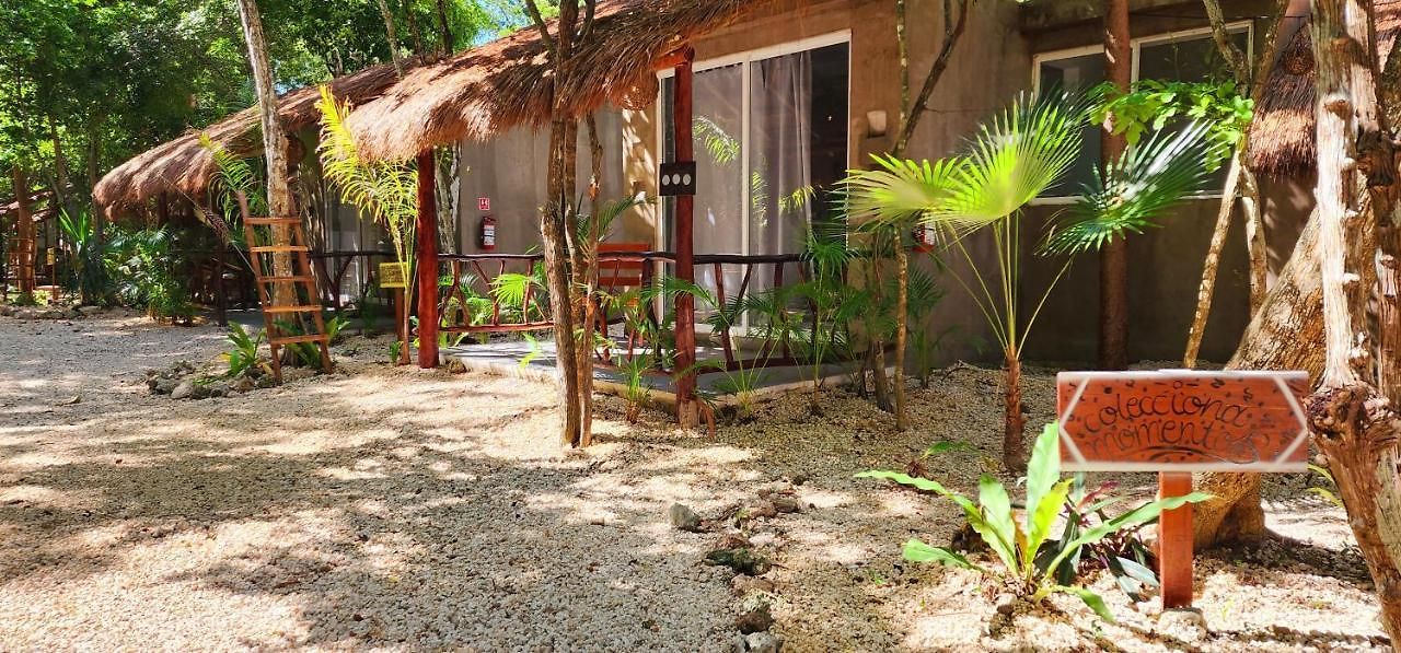 Kin Jungle Deluxe Pensión Tulum