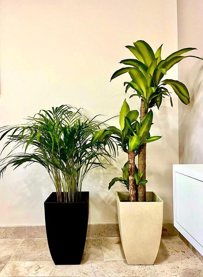 Apartment Elegant 1br Aldea Zama