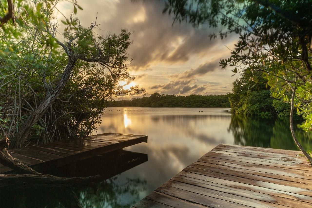 Yaxchen Cabañas&cenote Tulum