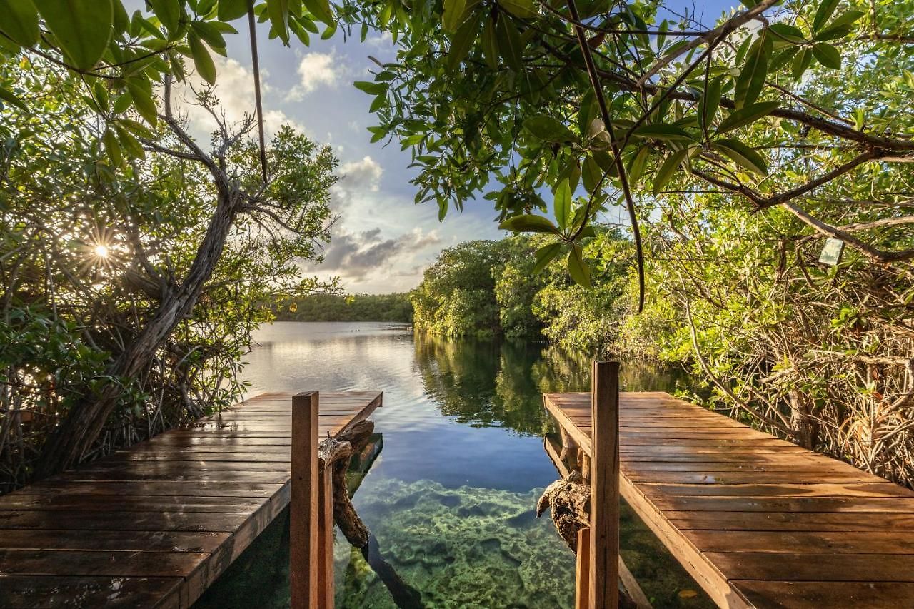 Lodge Yaxchen Cabañas&cenote Tulum
