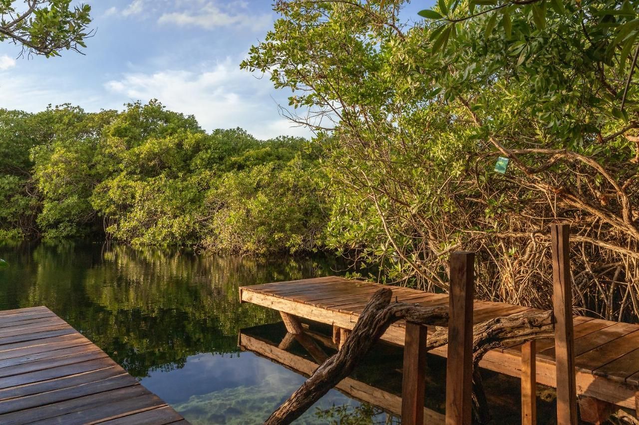 Lodge Yaxchen Cabañas&cenote Tulum