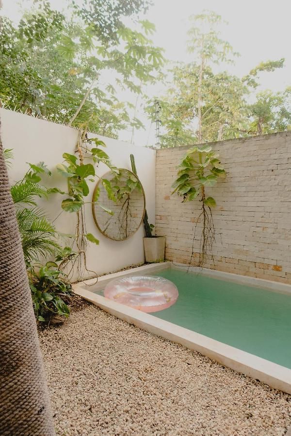 Ujo 100 Mb Wifi 2 Private Pools Tulum