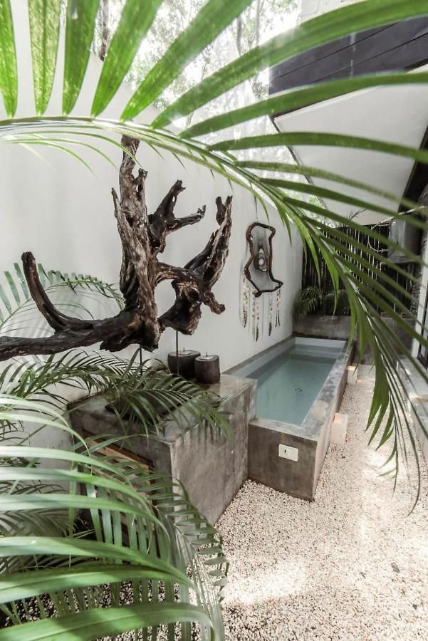 Apartment Black House Aldea Zama I Spacious 2bd With Private Jacuzzi Tulum