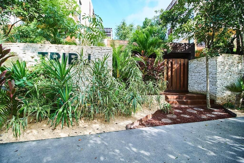 Tribu 205 Magical 1br Minutes From The Sea 50mb Wifi *