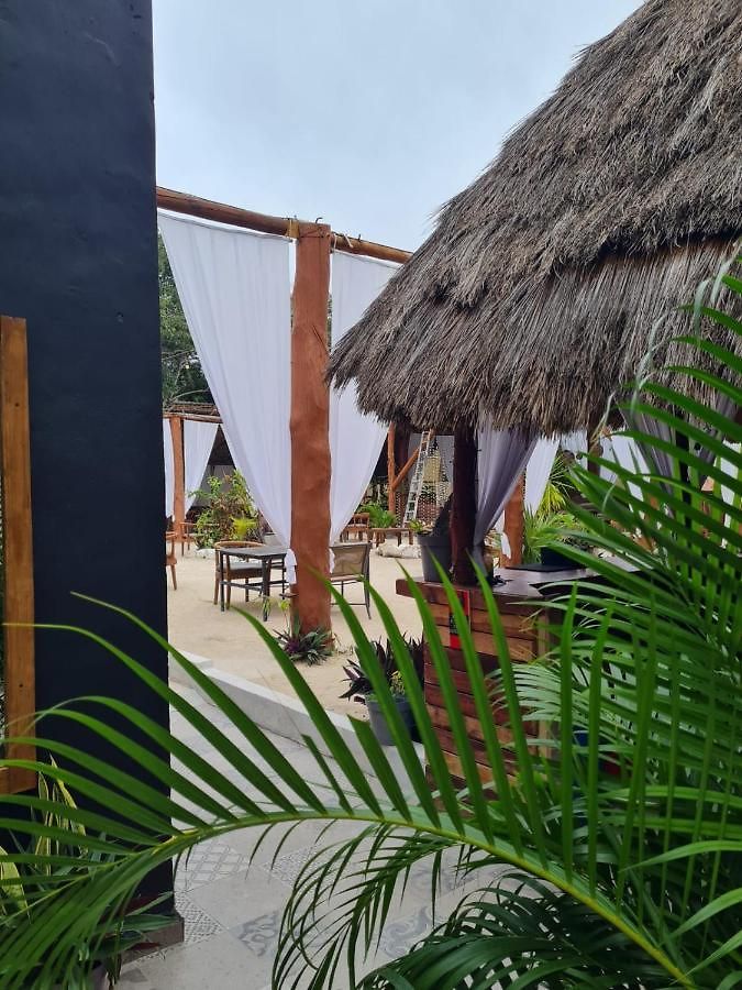 The - Food, Drinks And Transportation To The And Cenotes