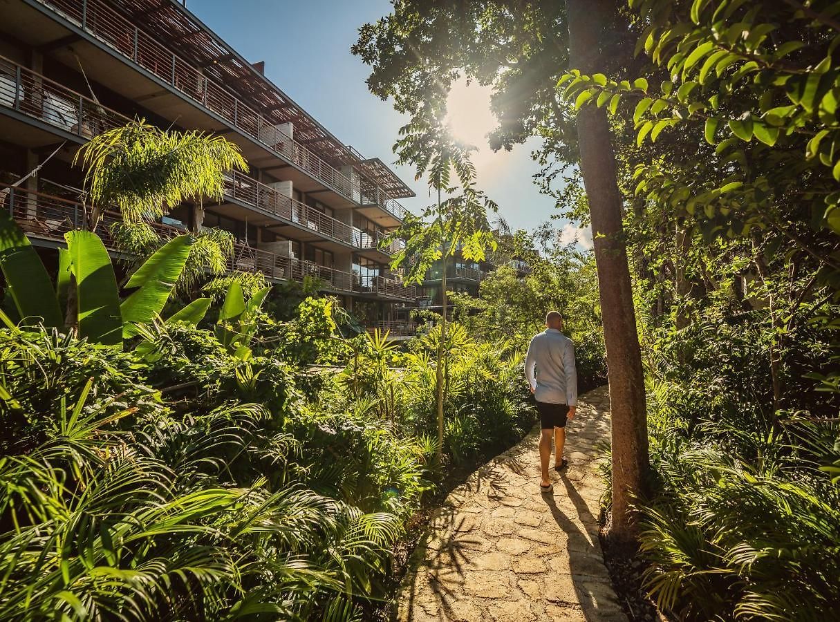 Incredible 1br Swim Up With Private Cenote And Big Gym Apartment