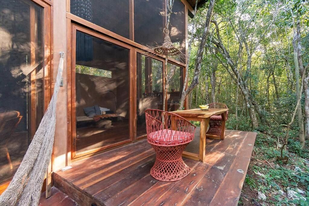 Ojo De Agua. Design+pool. Vive La Auténtica Selva! *