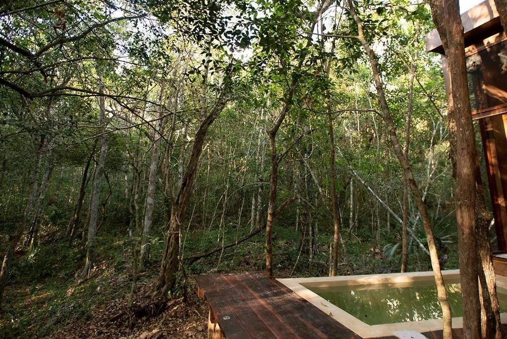 Ojo De Agua. Design+pool. Vive La Auténtica Selva! Tulum