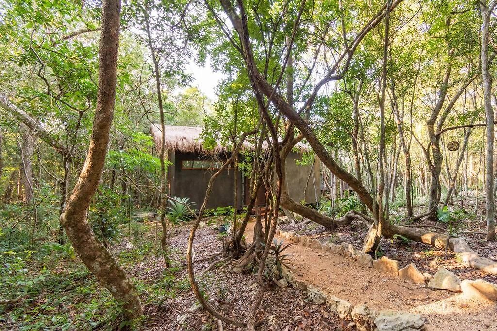 Ojo De Agua. Design+pool. Vive La Auténtica Selva! Tulum