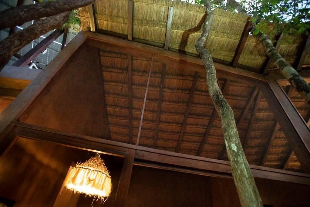 Сasa de vacaciones Ojo De Agua. Design+pool. Vive La Auténtica Selva! Tulum