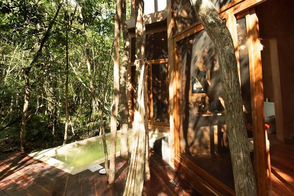 Ojo De Agua. Design+pool. Vive La Auténtica Selva! Tulum