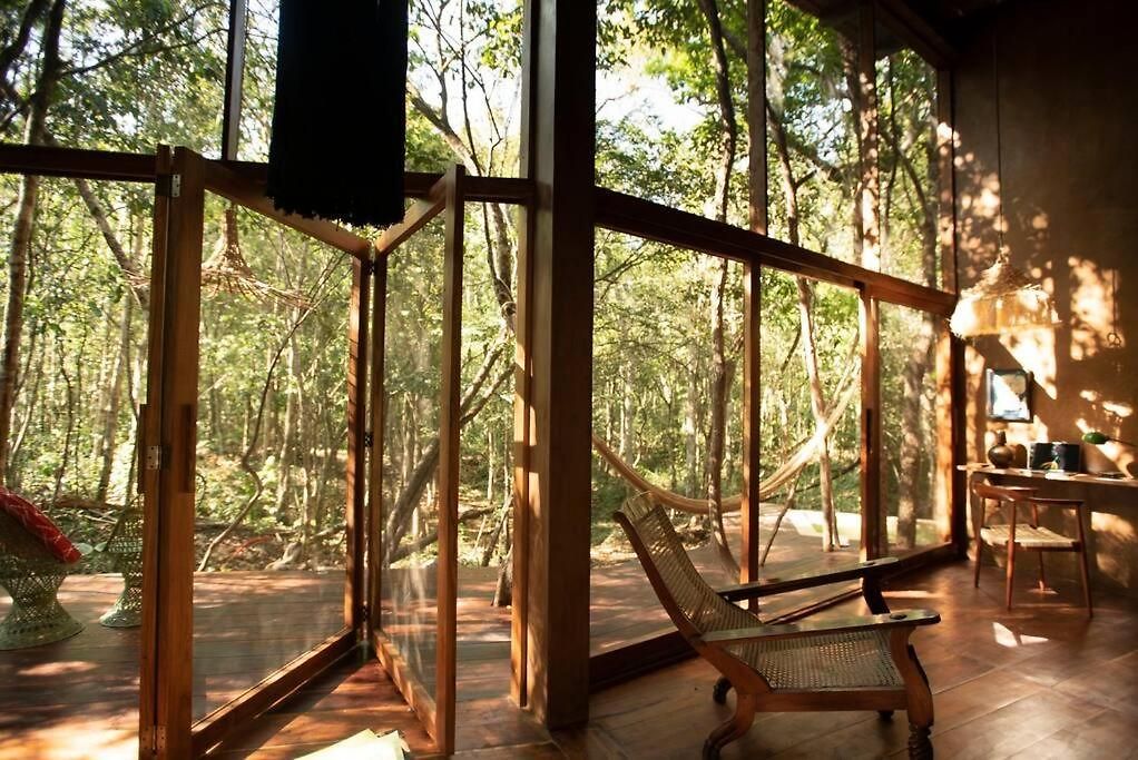 Ojo De Agua. Design+pool. Vive La Auténtica Selva! *