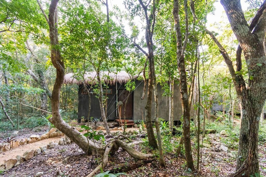 Ojo De Agua. Design+pool. Vive La Auténtica Selva! Tulum