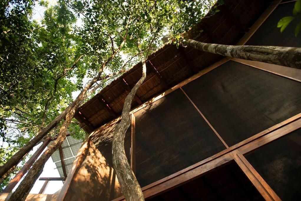 Ojo De Agua. Design+pool. Vive La Auténtica Selva! * Tulum