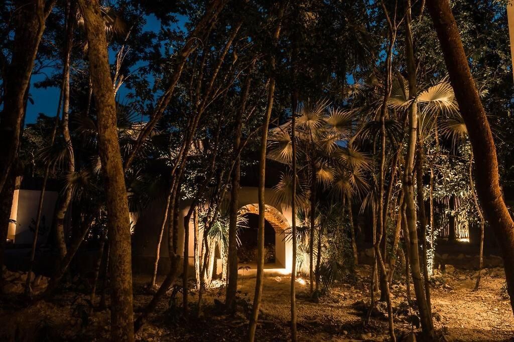 Xuncari In The Heart Of The Jungle * Tulum