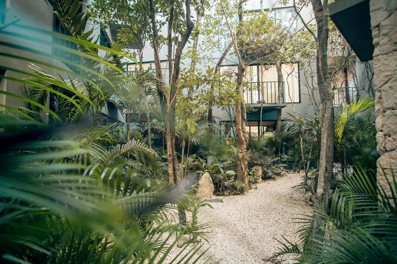 Vida Jungle 7 With Special Fee To Access Bardo * Tulum