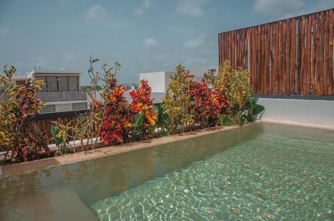 Luxury Penthouse 3br With Private Pool & Rooftop La Veleta