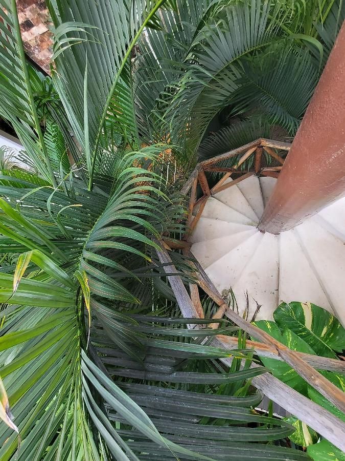 The Secret Garden Tulum