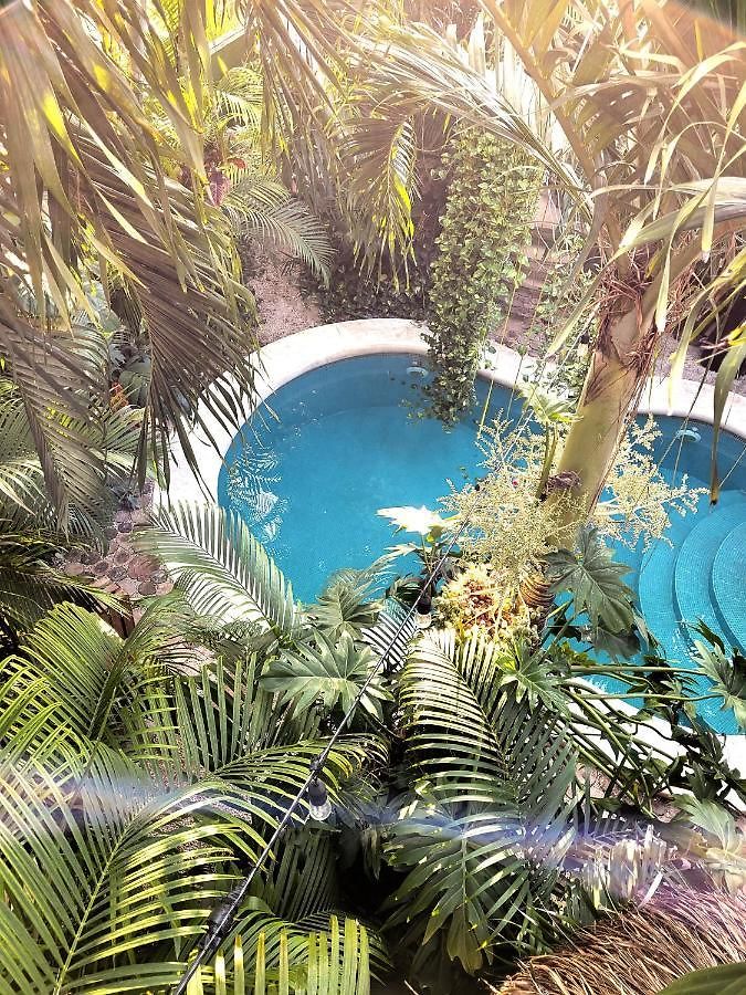 The Secret Garden Apartamento Tulum