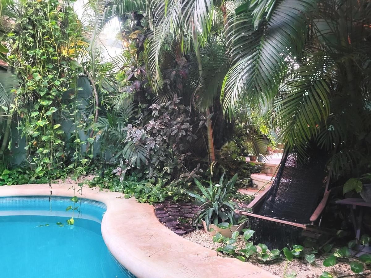 The Secret Garden Tulum