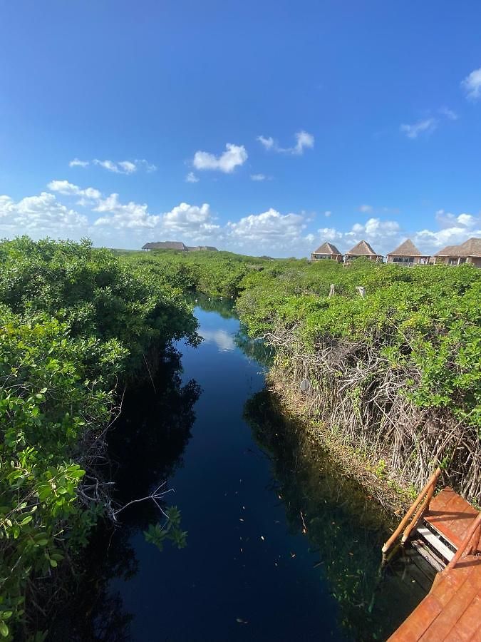 - Aldea Mangle&cenote Lodge *