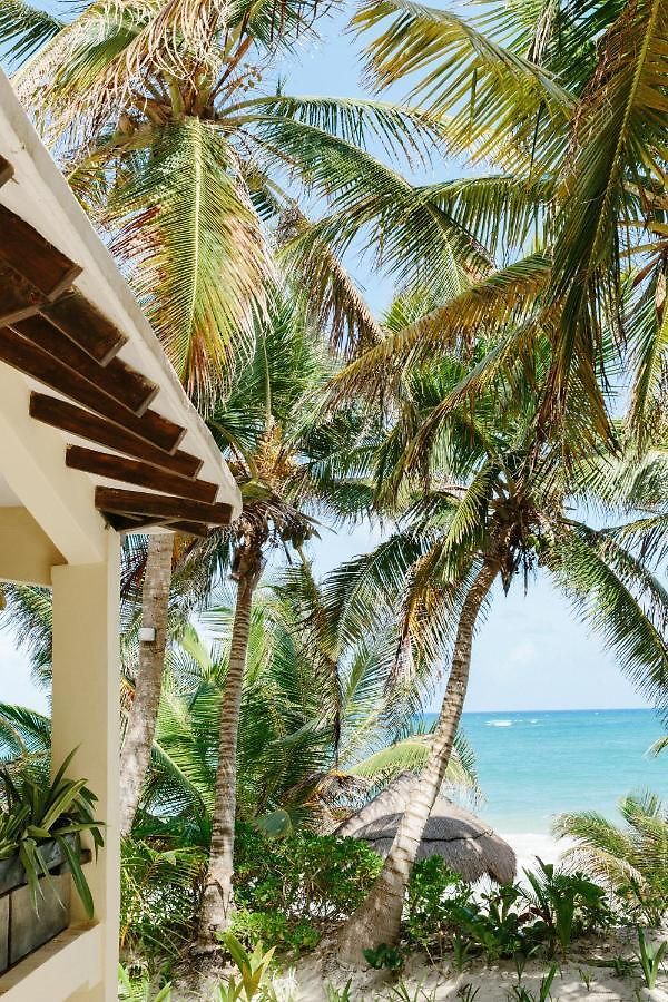 Bed and breakfast Olas