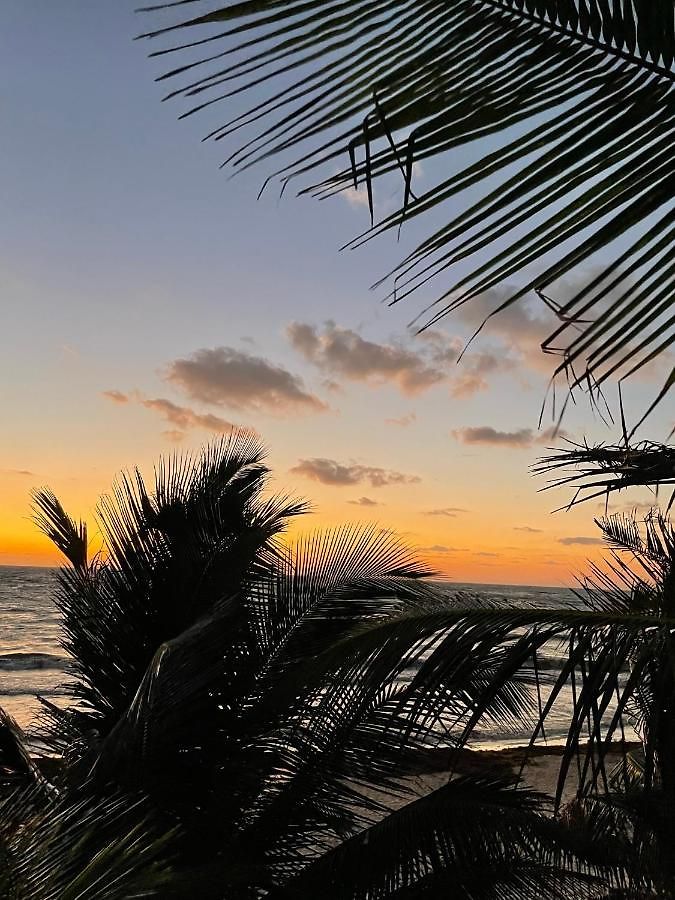 Chavez Eco Camping&cabañas Tulum