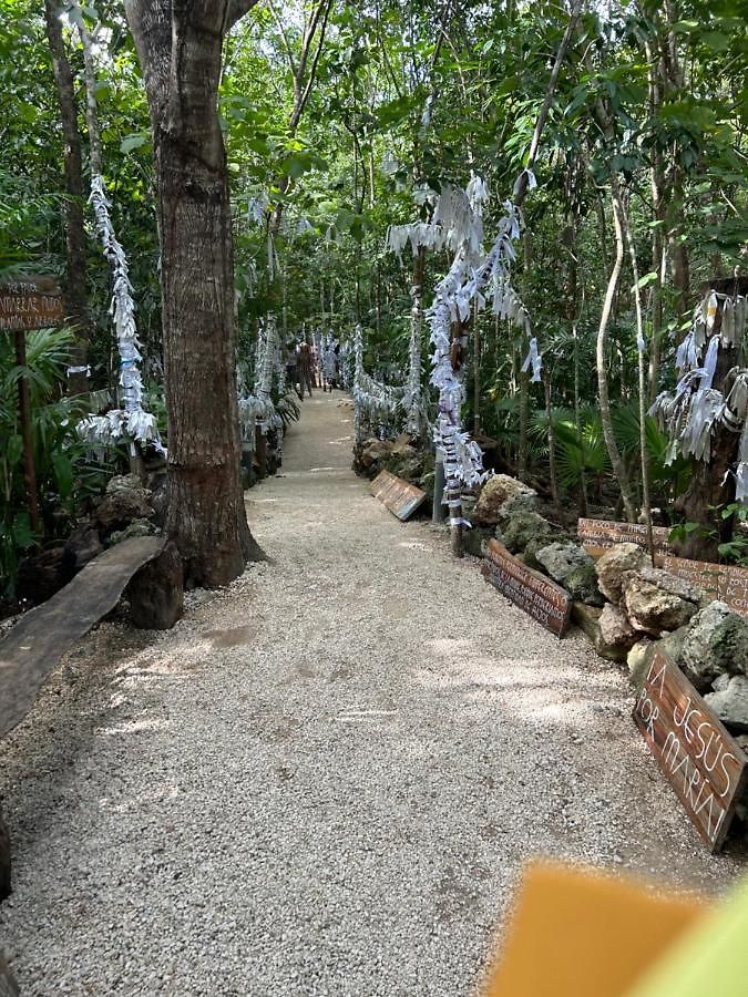 Vip Experience * Tulum