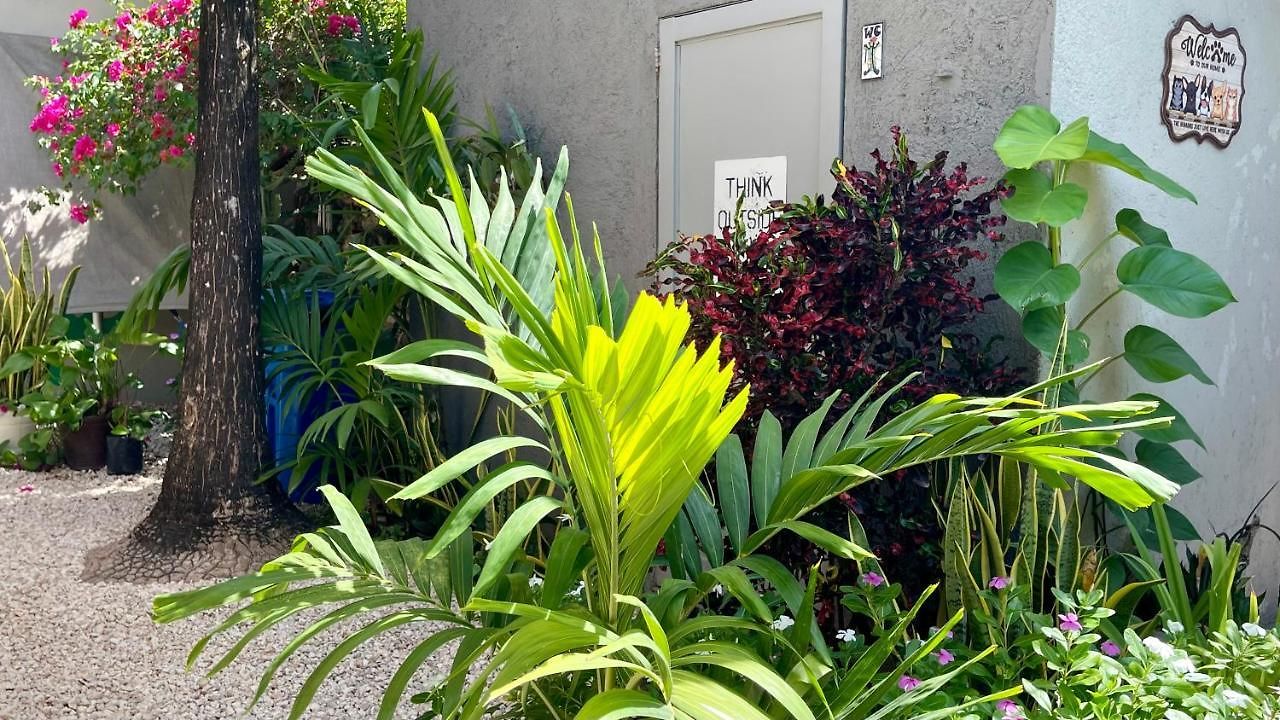 Apartment Casa Villamatisse Tulum