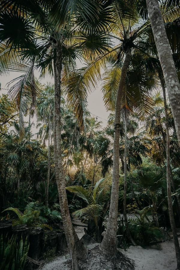 Hotel Ether Tulum
