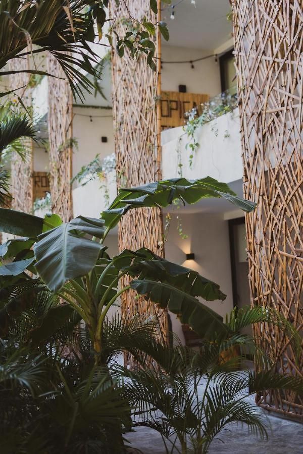 Hotel Jade