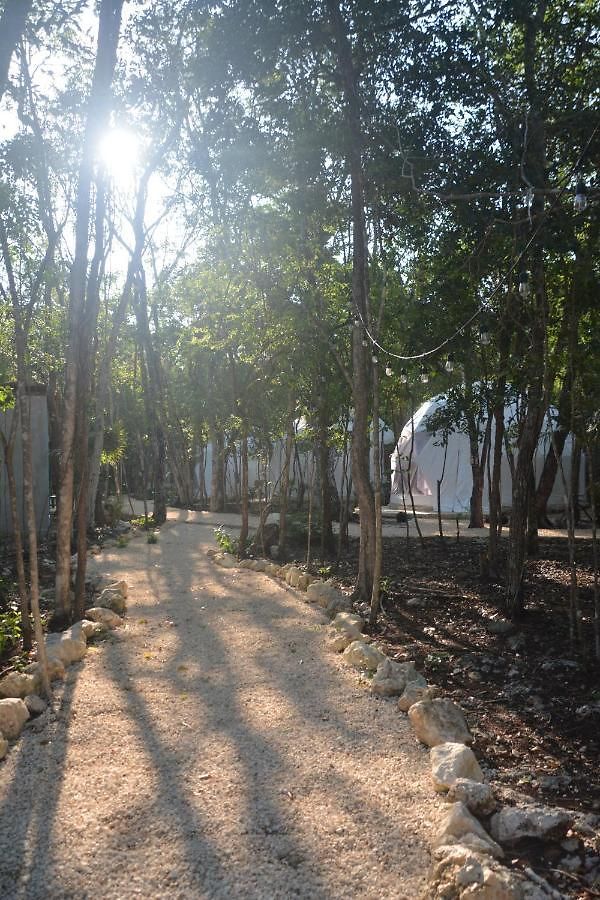 Luxury tent Glamping Mayan Glam
