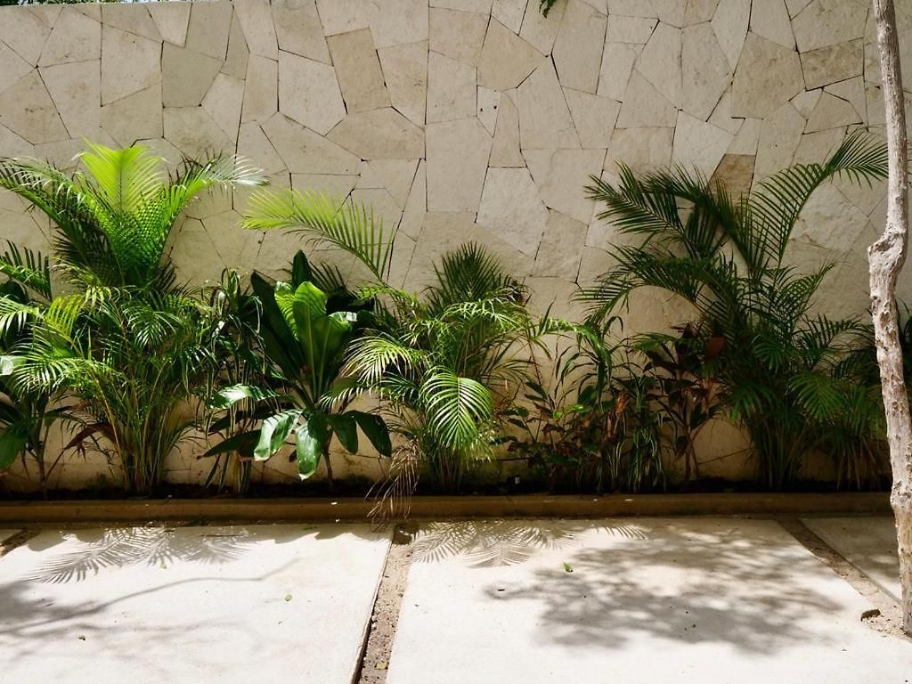 Taanah * Tulum