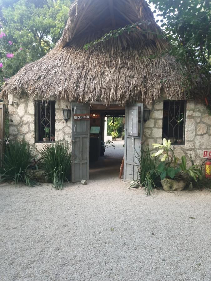 Campo de lujo Huayacamp *