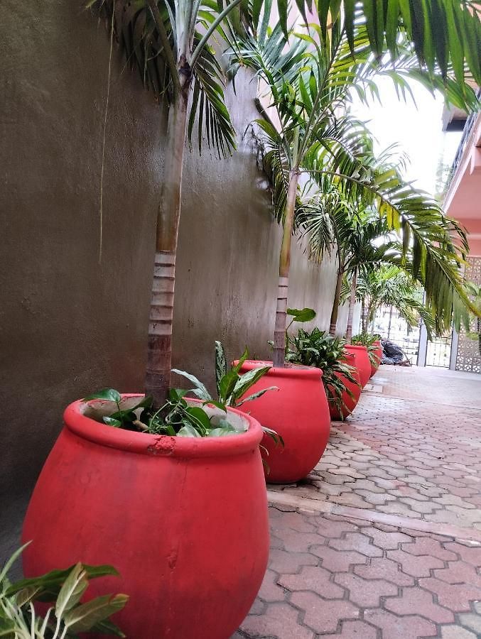 Centro, Party Tulum