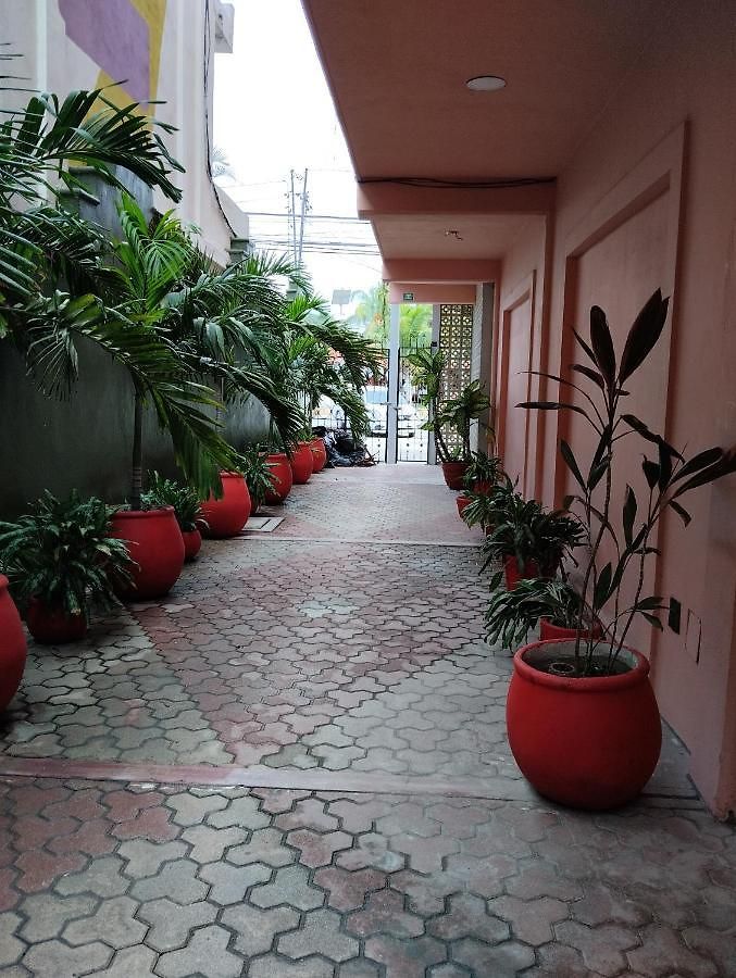 Centro, Party Tulum