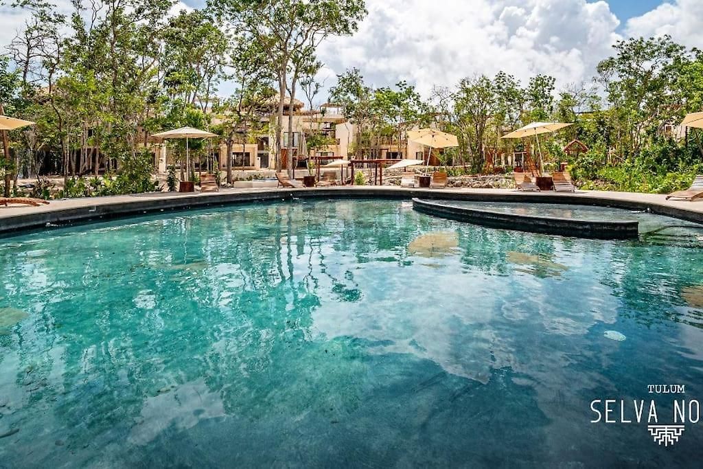 Apartment Private Rooftop Penthouse With Pool, Bbq & Jungle View