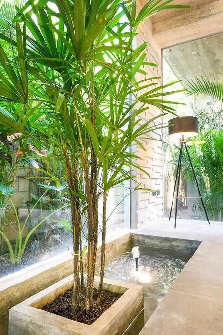 Nimi: Architectural Gem With Private Pool & Concierge * Tulum