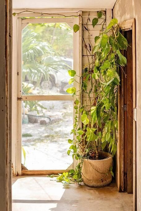Holiday home Rancho Pepo - Sian Ka'an Biosphere House Tulum