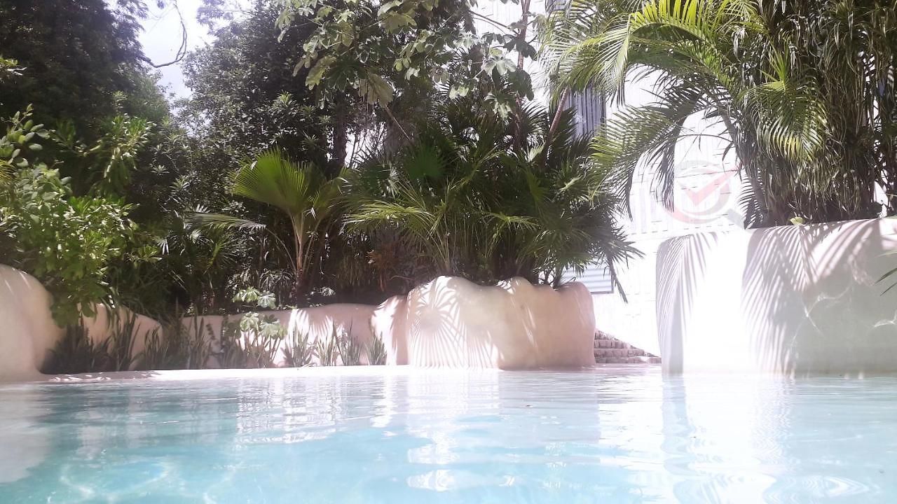 Apartment New Luxury Con Plunge Pool Privado Tulum