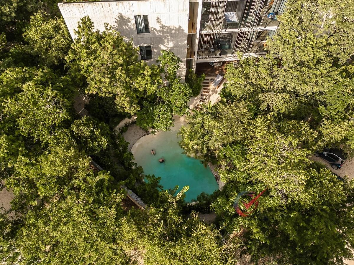 Apartment New Luxury Con Plunge Pool Privado Tulum