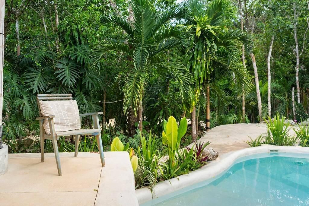 Zen Canto Tuuch :: May The Jungle Be With You Tulum