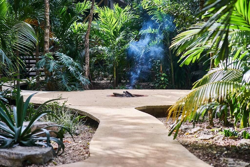 Zen Canto Tuuch :: May The Jungle Be With You *