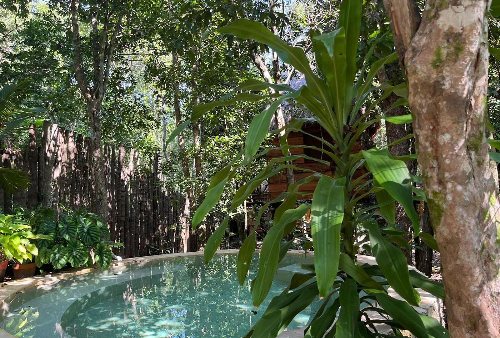 Selvaluna Eco-chic Tulum