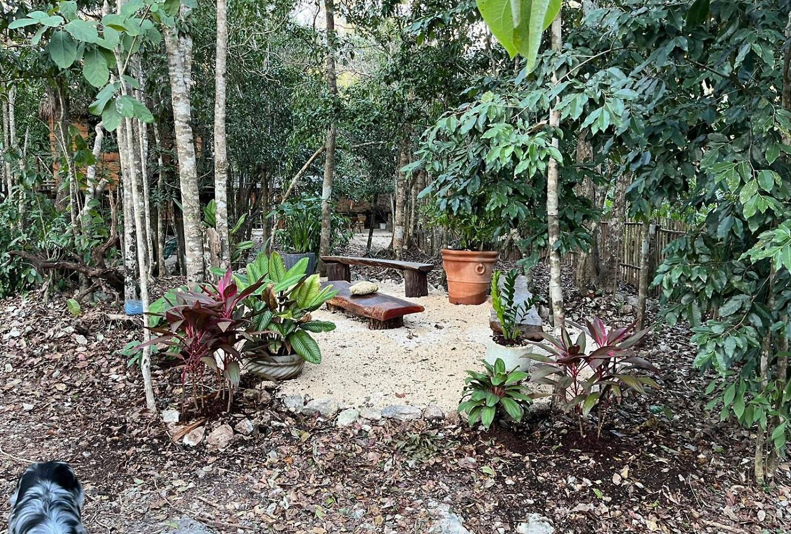 Selvaluna Eco-chic