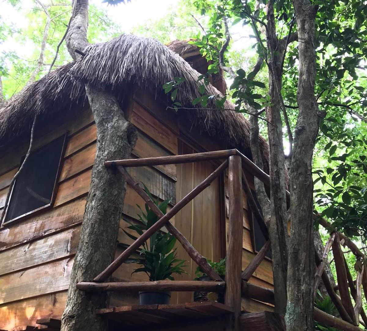 Selvaluna Eco-chic