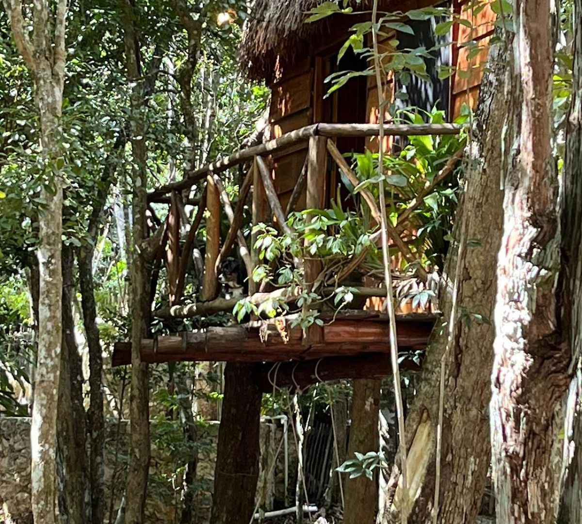 Selvaluna Eco-chic * Tulum
