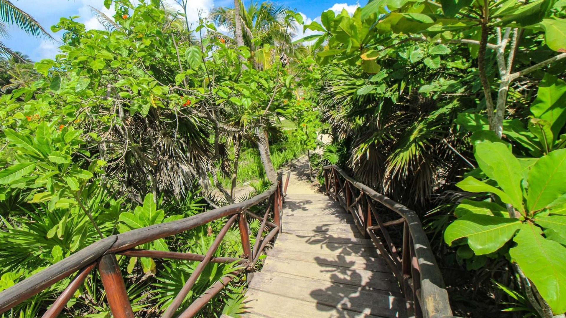 The Hibiscus House Holiday home