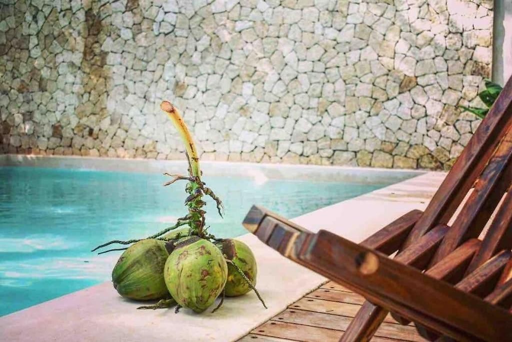 Tropical Oasis In Holistika With Pool Tulum