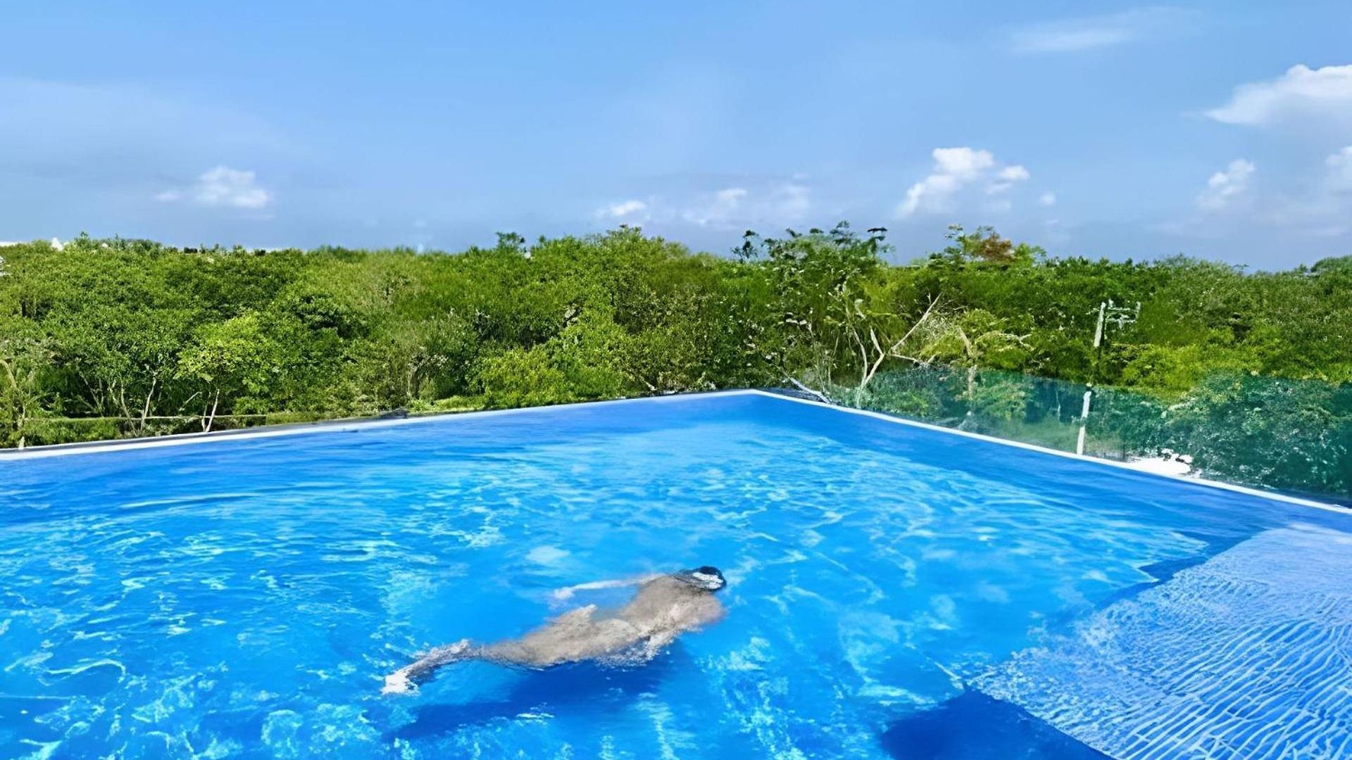 Exclusive Building Infinity Pool And Gym Restaurants And Bar District Nearby